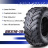 10273_25x10-12 ATV tires features